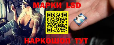 spice Кунгур